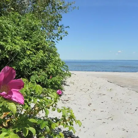 Peter Pan דירה *